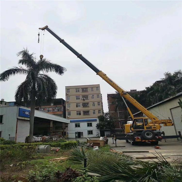 德保吊车吊大树几种方法